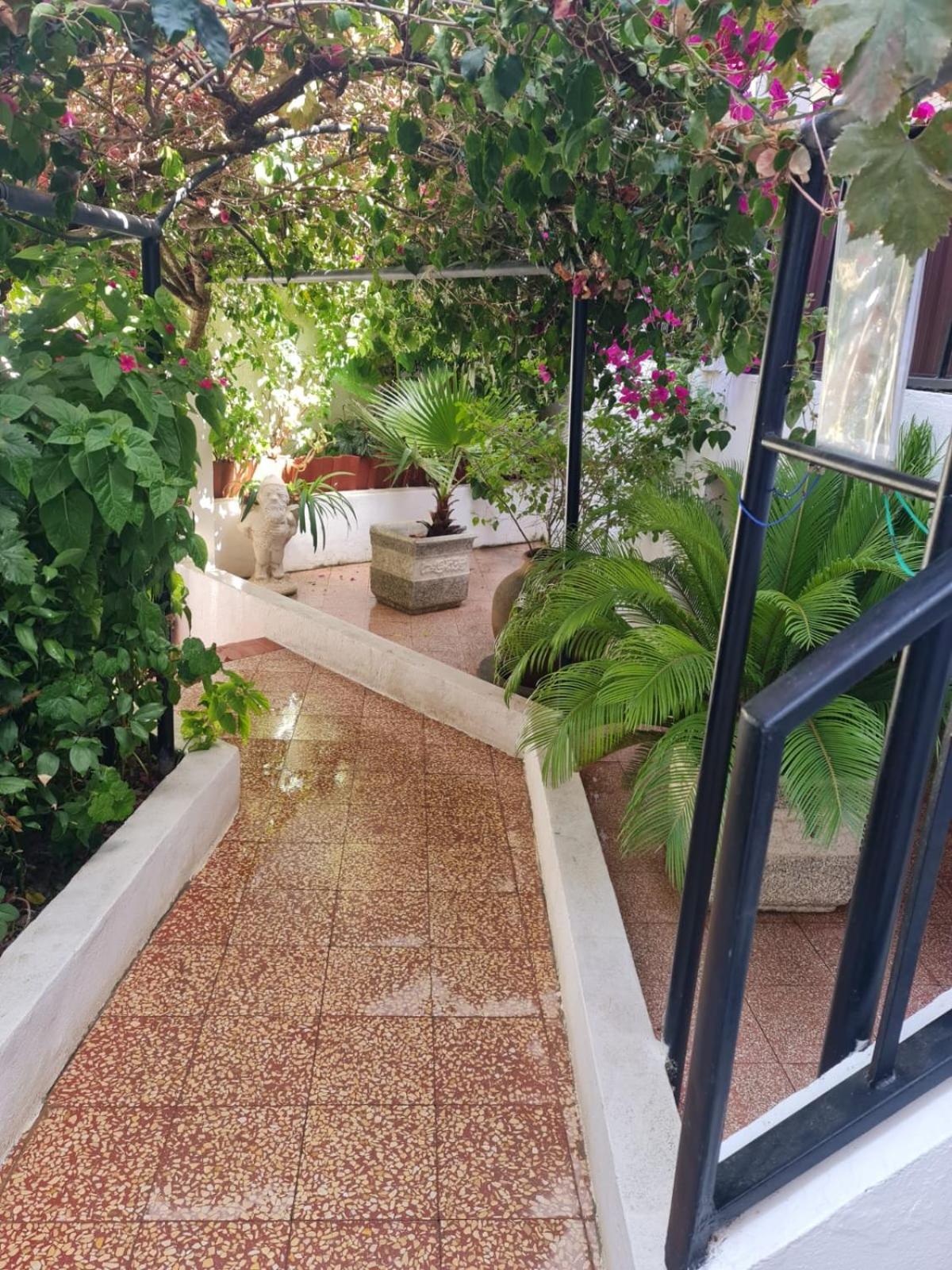 Alojamento Local Largo Da Igreja Santiago do Cacém Δωμάτιο φωτογραφία