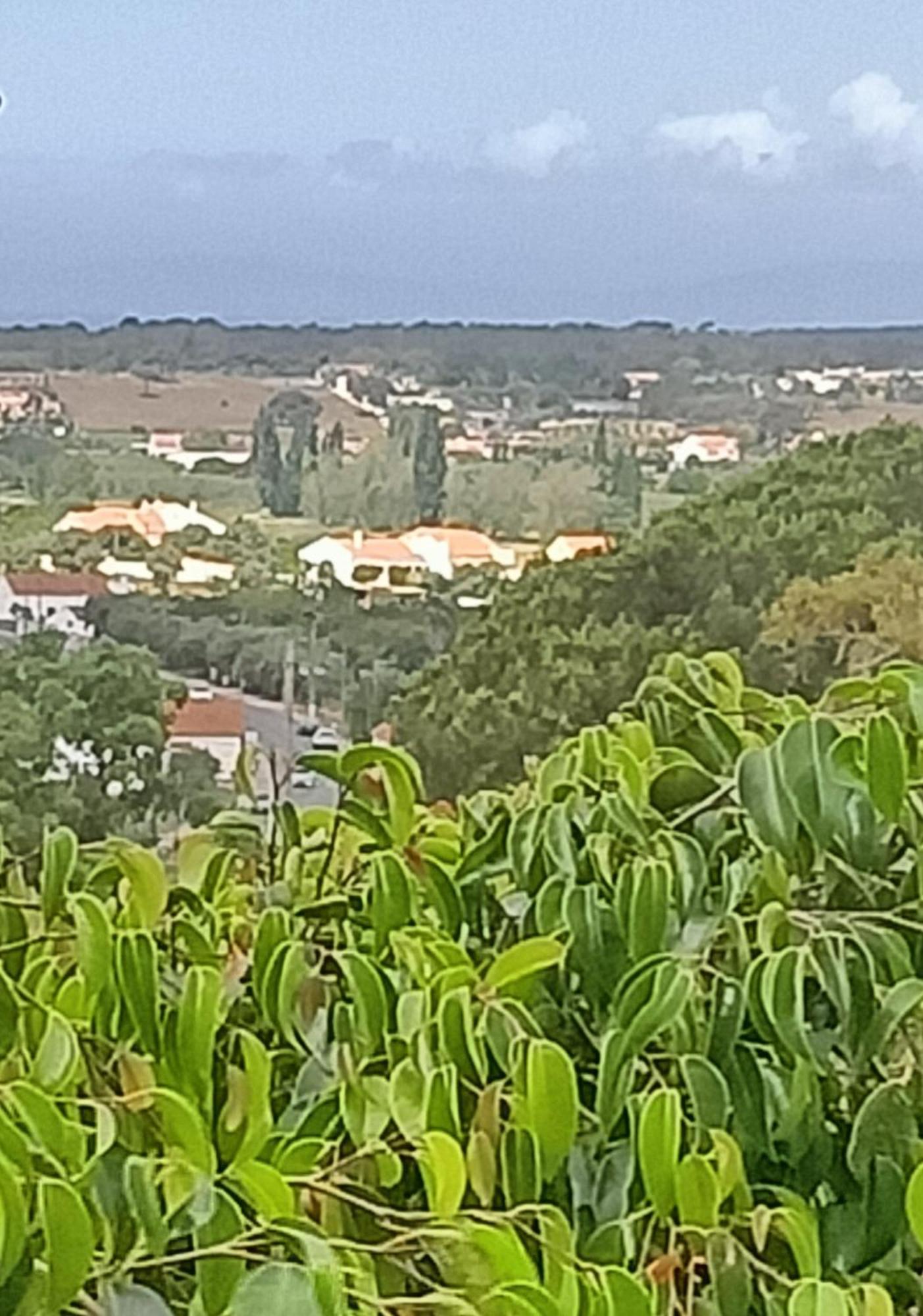 Alojamento Local Largo Da Igreja Santiago do Cacém Δωμάτιο φωτογραφία